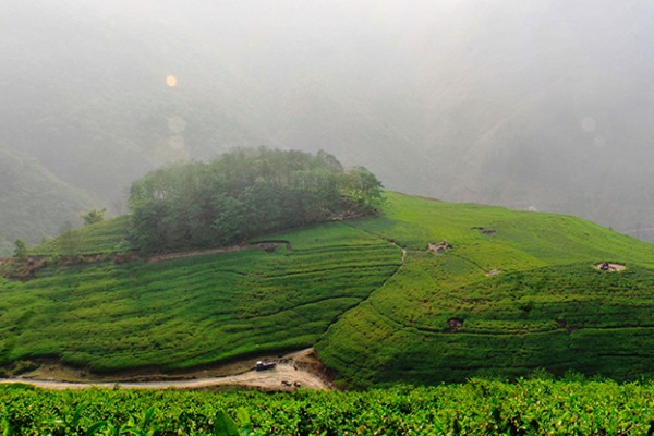 Day Hike to Phulchowki